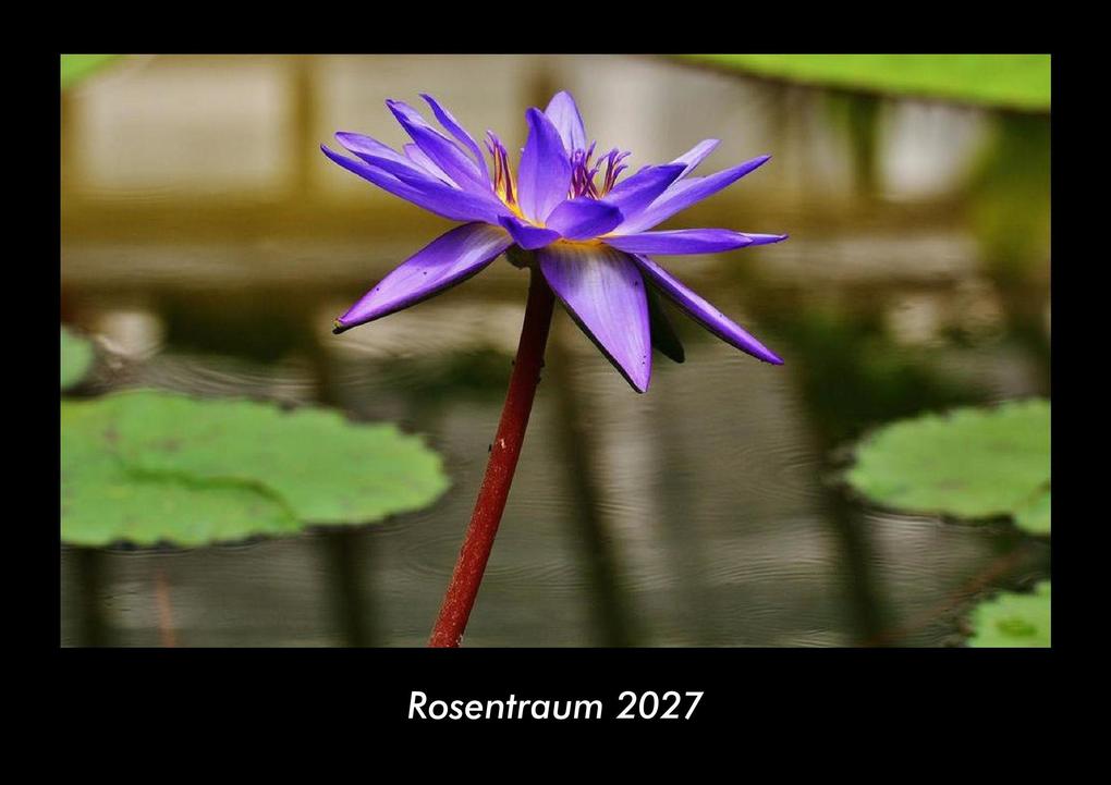 Rosentraum 2027 Fotokalender DIN A3