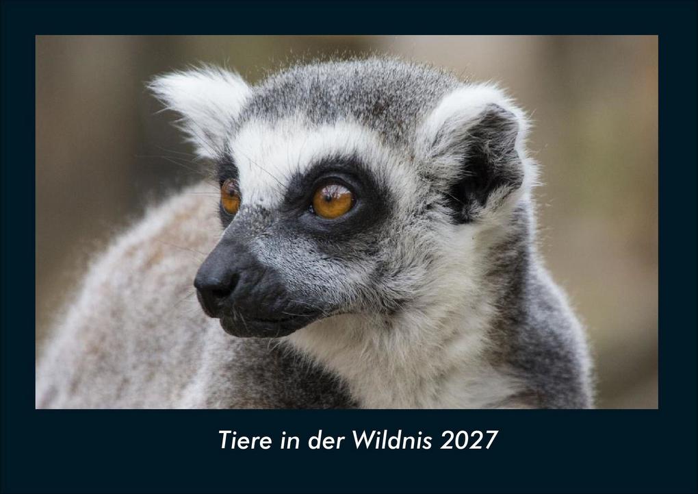 Tiere in der Wildnis 2027 Fotokalender DIN A4