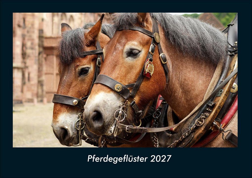 Pferdegeflüster 2027 Fotokalender DIN A4
