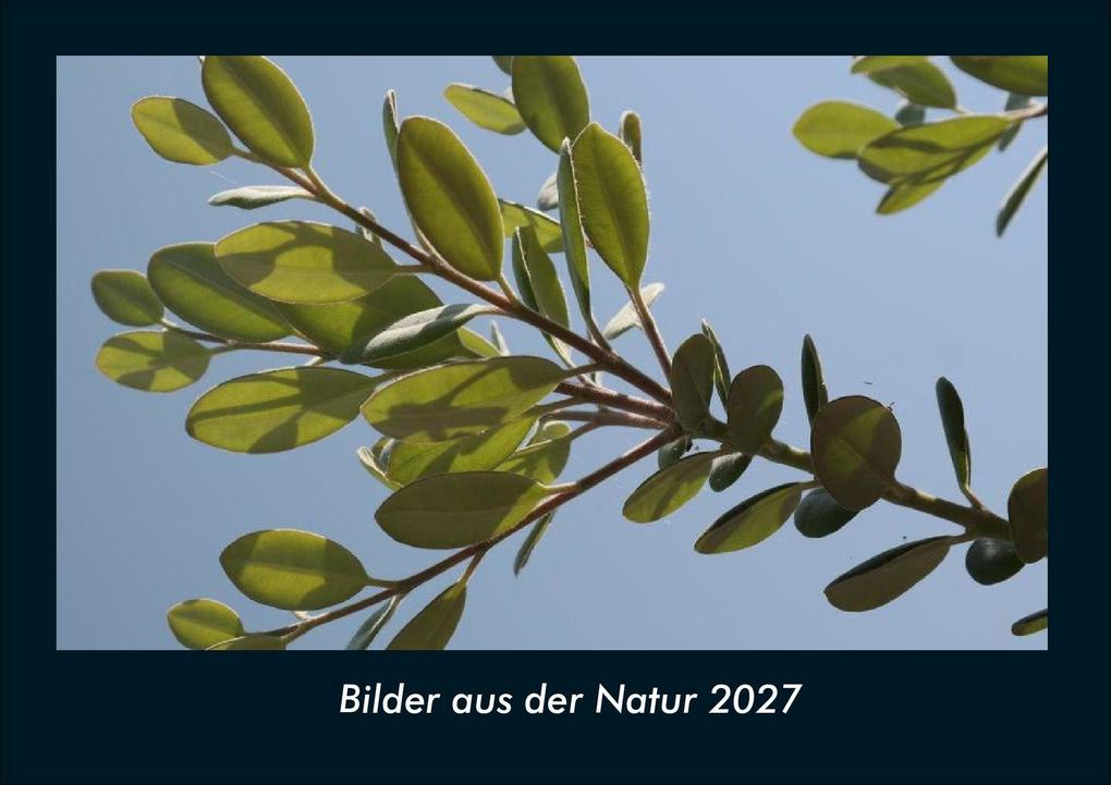 Bilder aus der Natur 2027 Fotokalender DIN A4