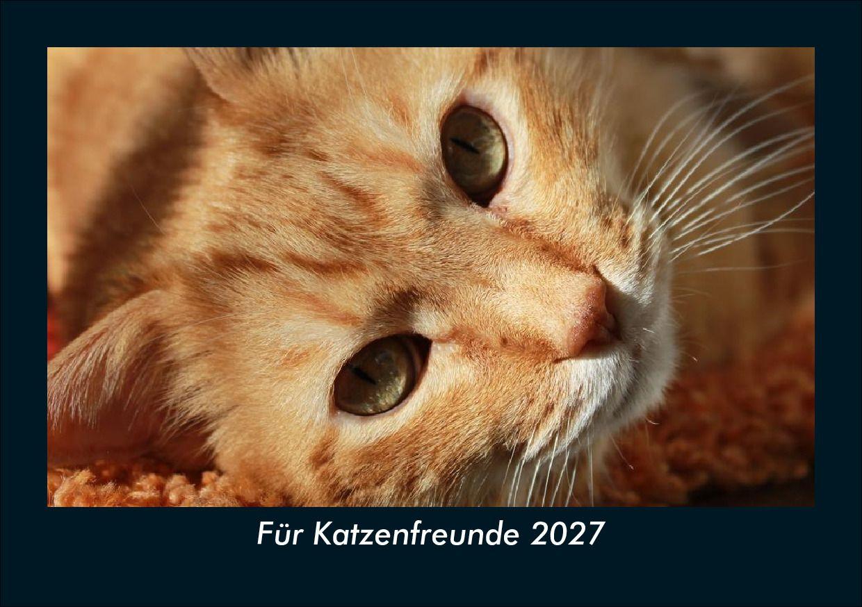 Für Katzenfreunde 2027 Fotokalender DIN A5