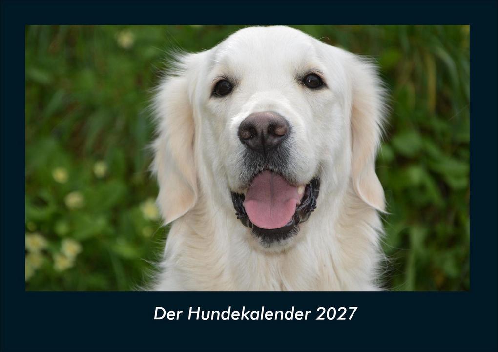 Der Hundekalender 2027 Fotokalender DIN A4