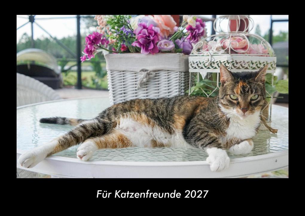 Für Katzenfreunde 2027 Fotokalender DIN A3