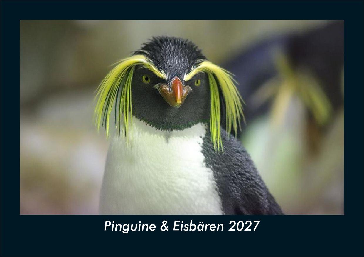 Pinguine & Eisbären 2027 Fotokalender DIN A5