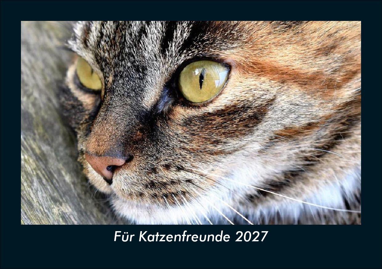 Für Katzenfreunde 2027 Fotokalender DIN A5