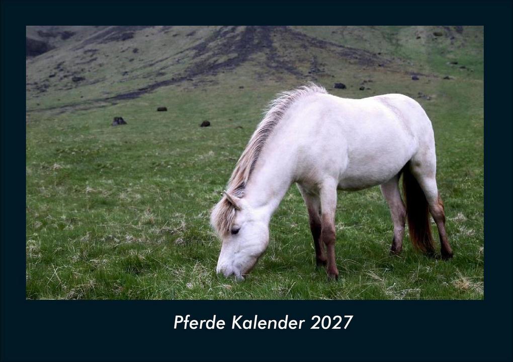 Pferde Kalender 2027 Fotokalender DIN A4