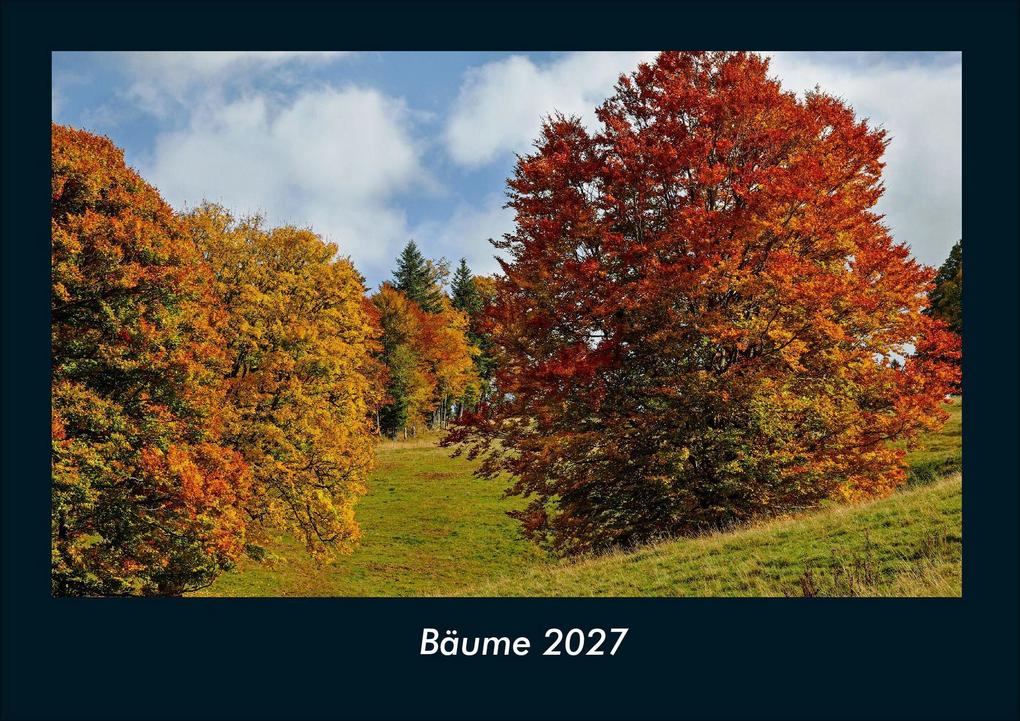 Bäume 2027 Fotokalender DIN A4
