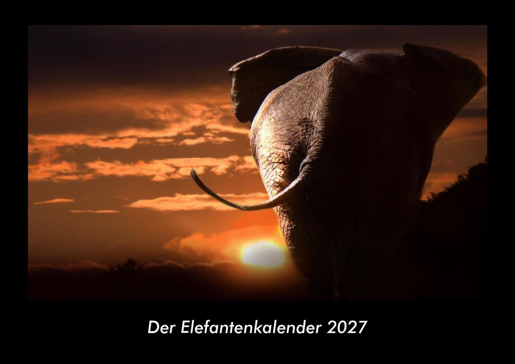 Der Elefantenkalender 2027 Fotokalender DIN A3