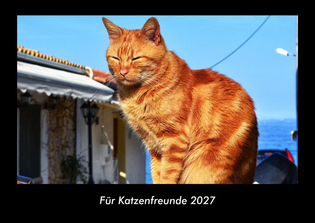 Für Katzenfreunde 2027 Fotokalender DIN A3