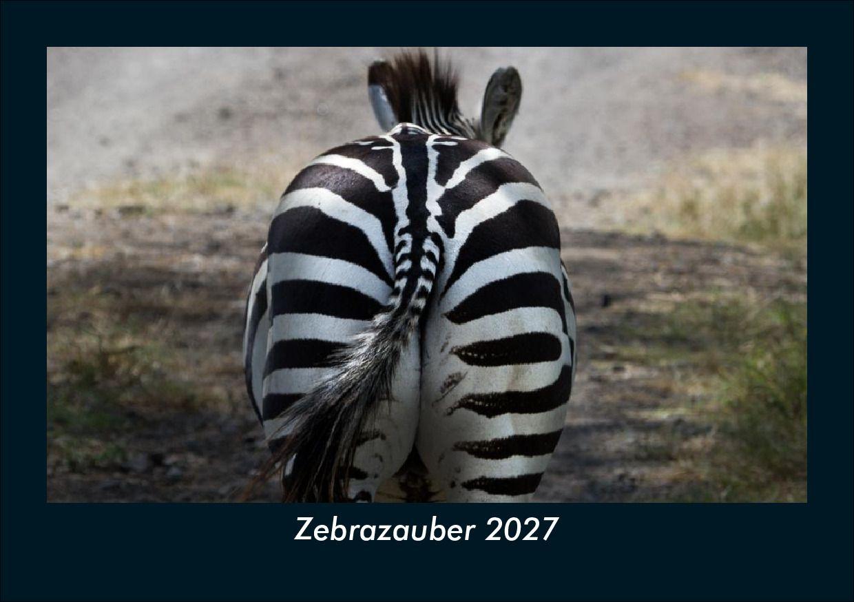 Zebrazauber 2027 Fotokalender DIN A5