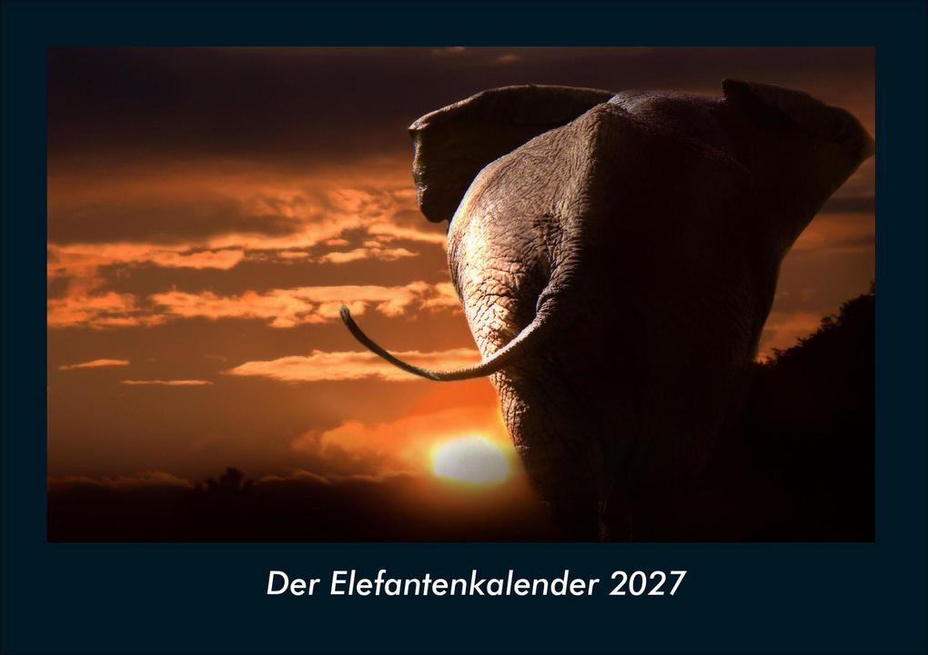 Der Elefantenkalender 2027 Fotokalender DIN A4