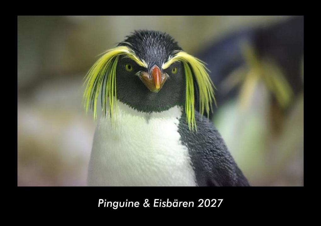 Pinguine & Eisbären 2027 Fotokalender DIN A3