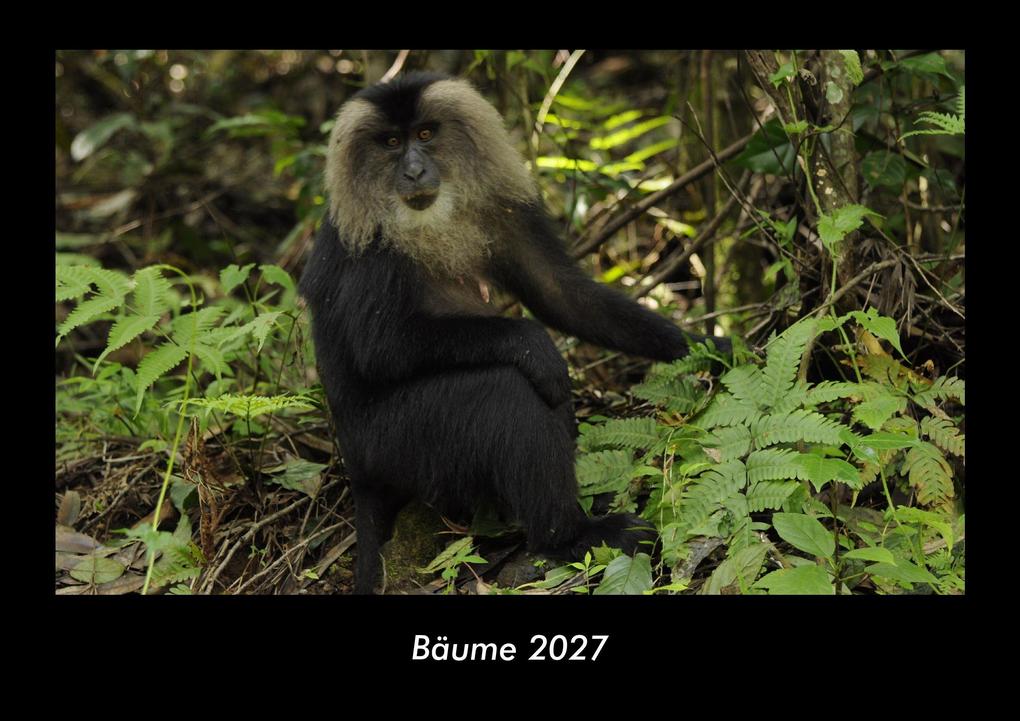 Bäume 2027 Fotokalender DIN A3