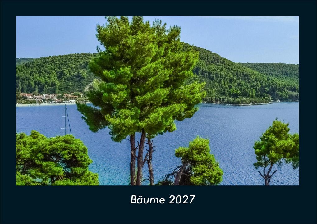 Bäume 2027 Fotokalender DIN A4