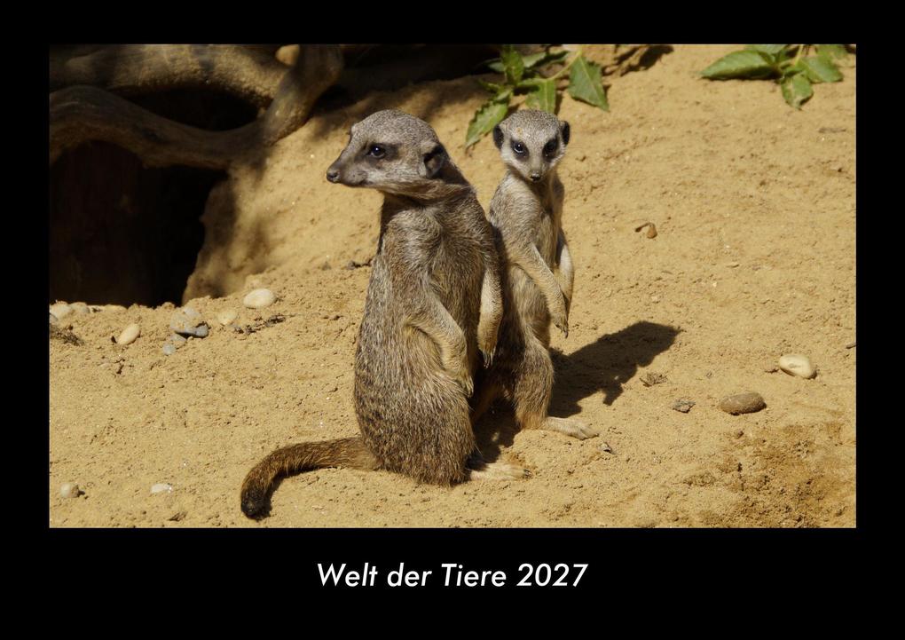 Welt der Tiere 2027 Fotokalender DIN A3