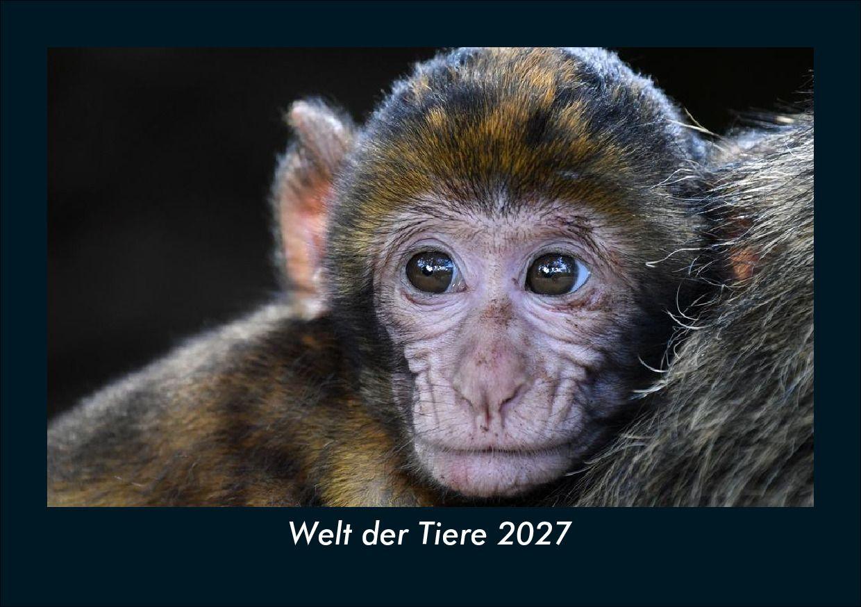 Welt der Tiere 2027 Fotokalender DIN A5