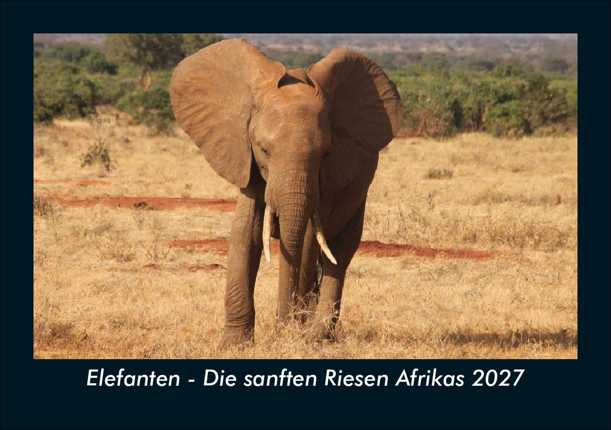 Elefanten - Die sanften Riesen Afrikas 2027 Fotokalender DIN A5