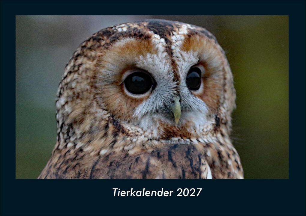 Tierkalender 2027 Fotokalender DIN A4