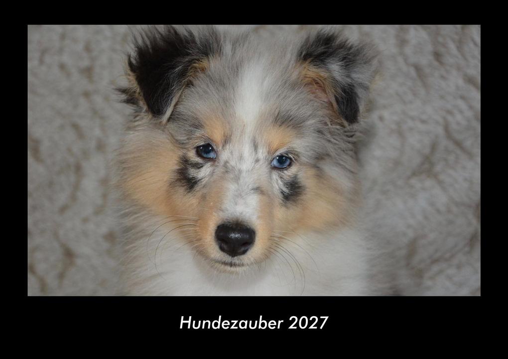 Hundezauber 2027 Fotokalender DIN A3