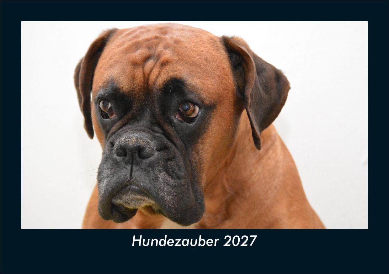 Hundezauber 2027 Fotokalender DIN A5