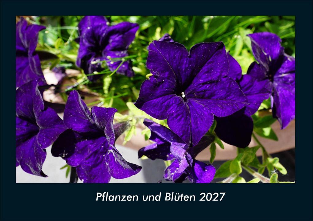 Pflanzen und Blüten 2027 Fotokalender DIN A4