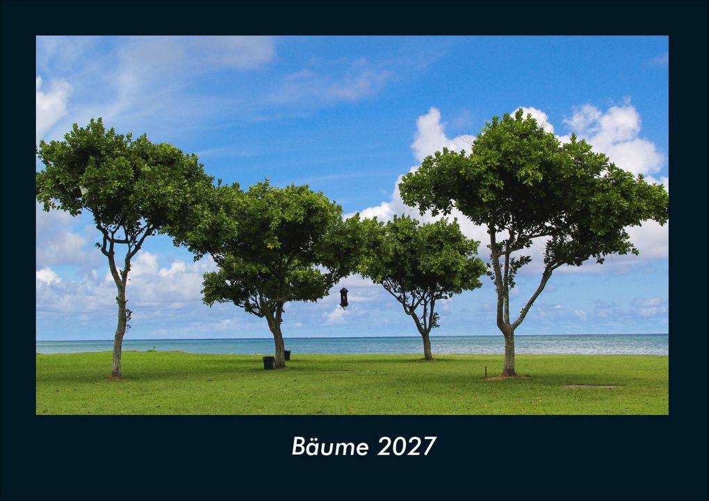 Bäume 2027 Fotokalender DIN A4