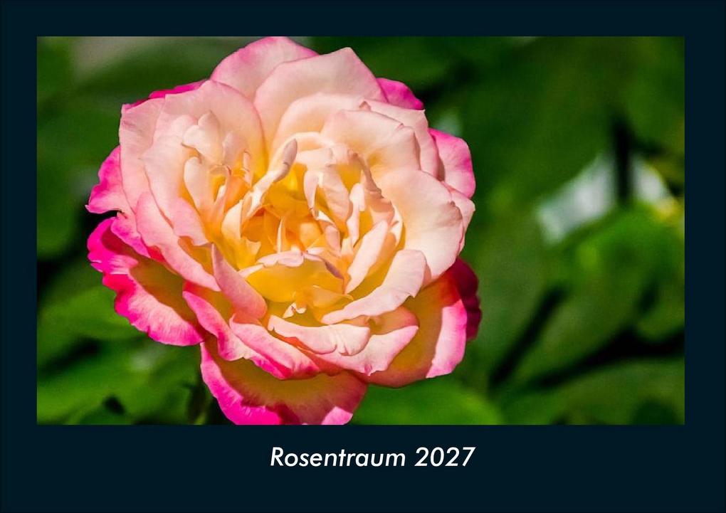 Rosentraum 2027 Fotokalender DIN A4