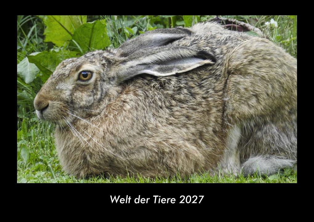 Welt der Tiere 2027 Fotokalender DIN A3