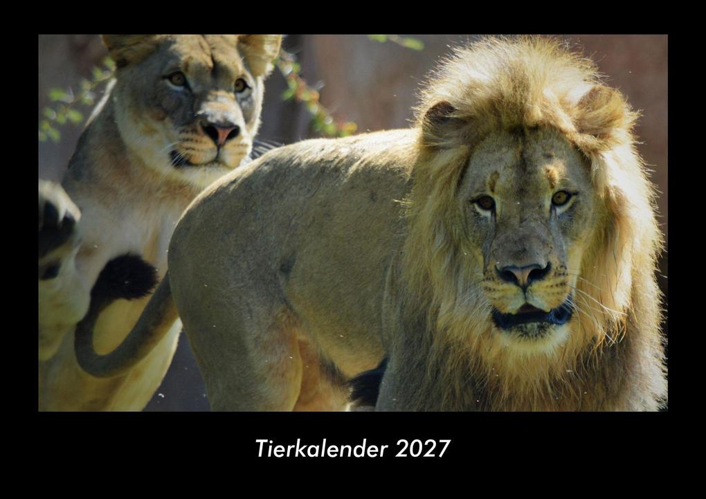 Tierkalender 2027 Fotokalender DIN A3