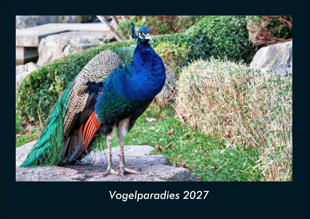 Vogelparadies 2027 Fotokalender DIN A4