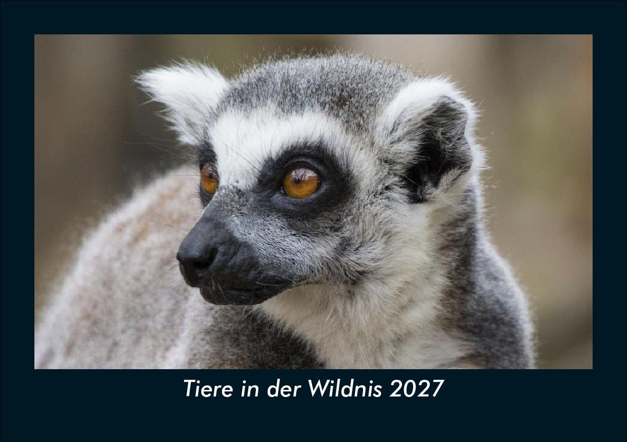 Tiere in der Wildnis 2027 Fotokalender DIN A5