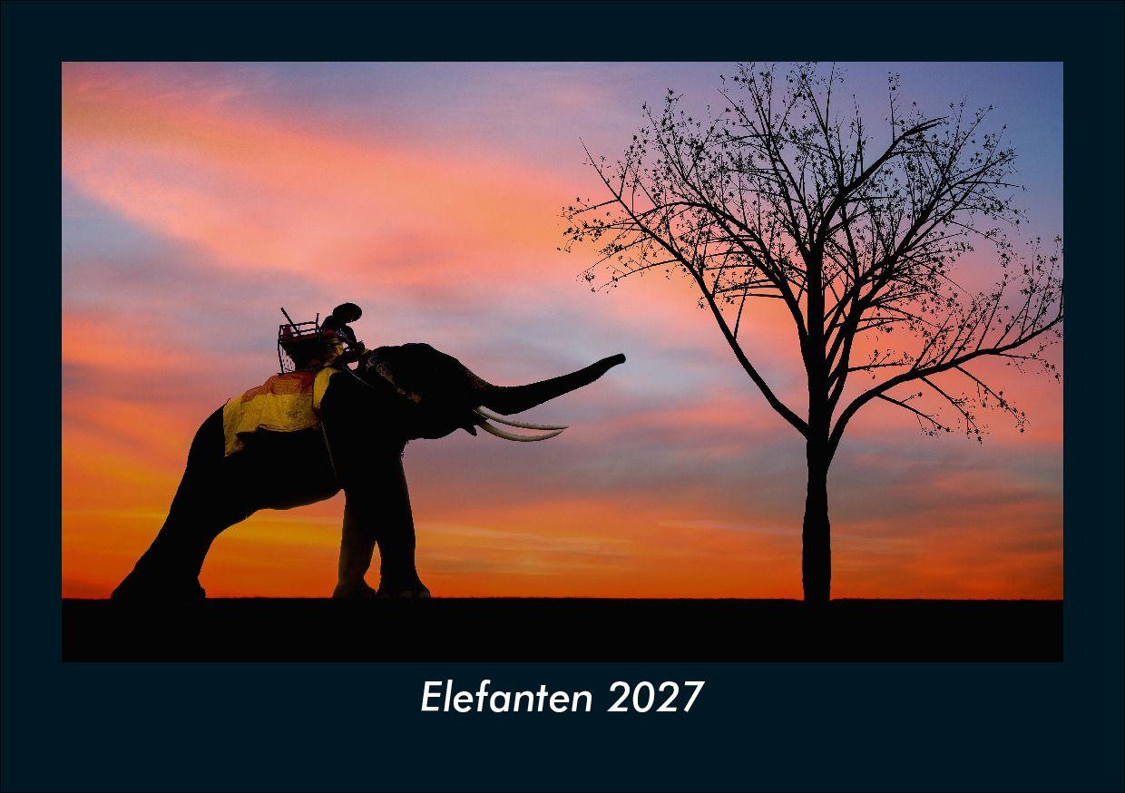 Elefanten 2027 Fotokalender DIN A5