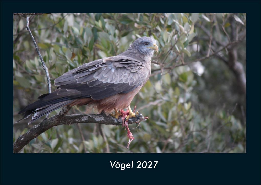 Vögel 2027 Fotokalender DIN A4