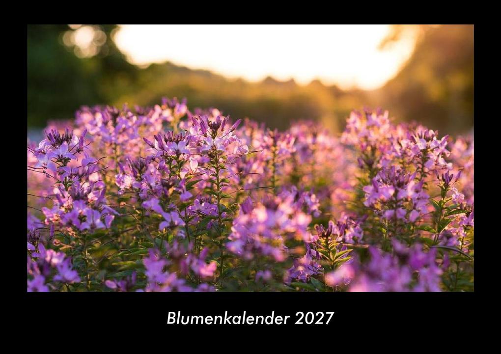 Blumenkalender 2027 Fotokalender DIN A3