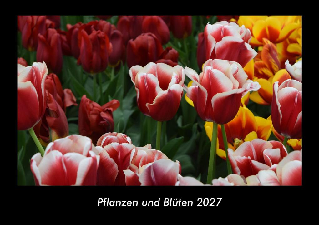 Pflanzen und Blüten 2027 Fotokalender DIN A3