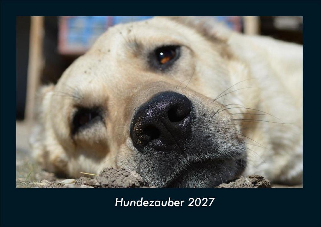 Hundezauber 2027 Fotokalender DIN A4