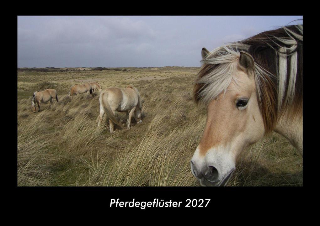 Pferdegeflüster 2027 Fotokalender DIN A3
