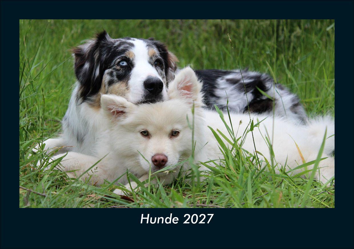 Hunde 2027 Fotokalender DIN A5