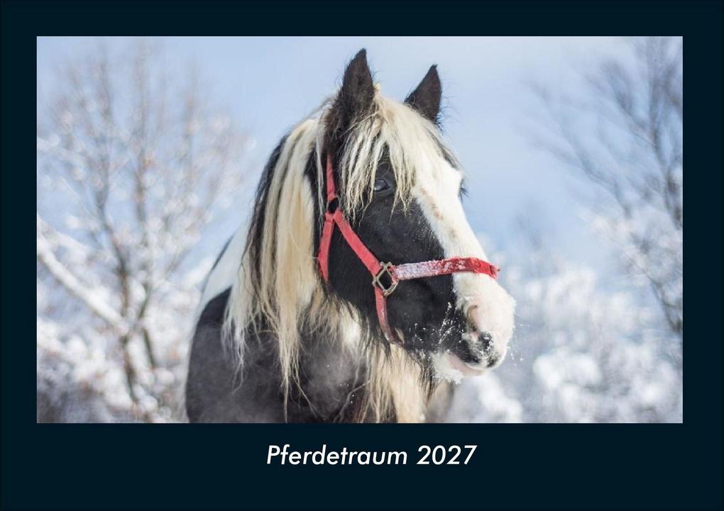Pferdetraum 2027 Fotokalender DIN A4