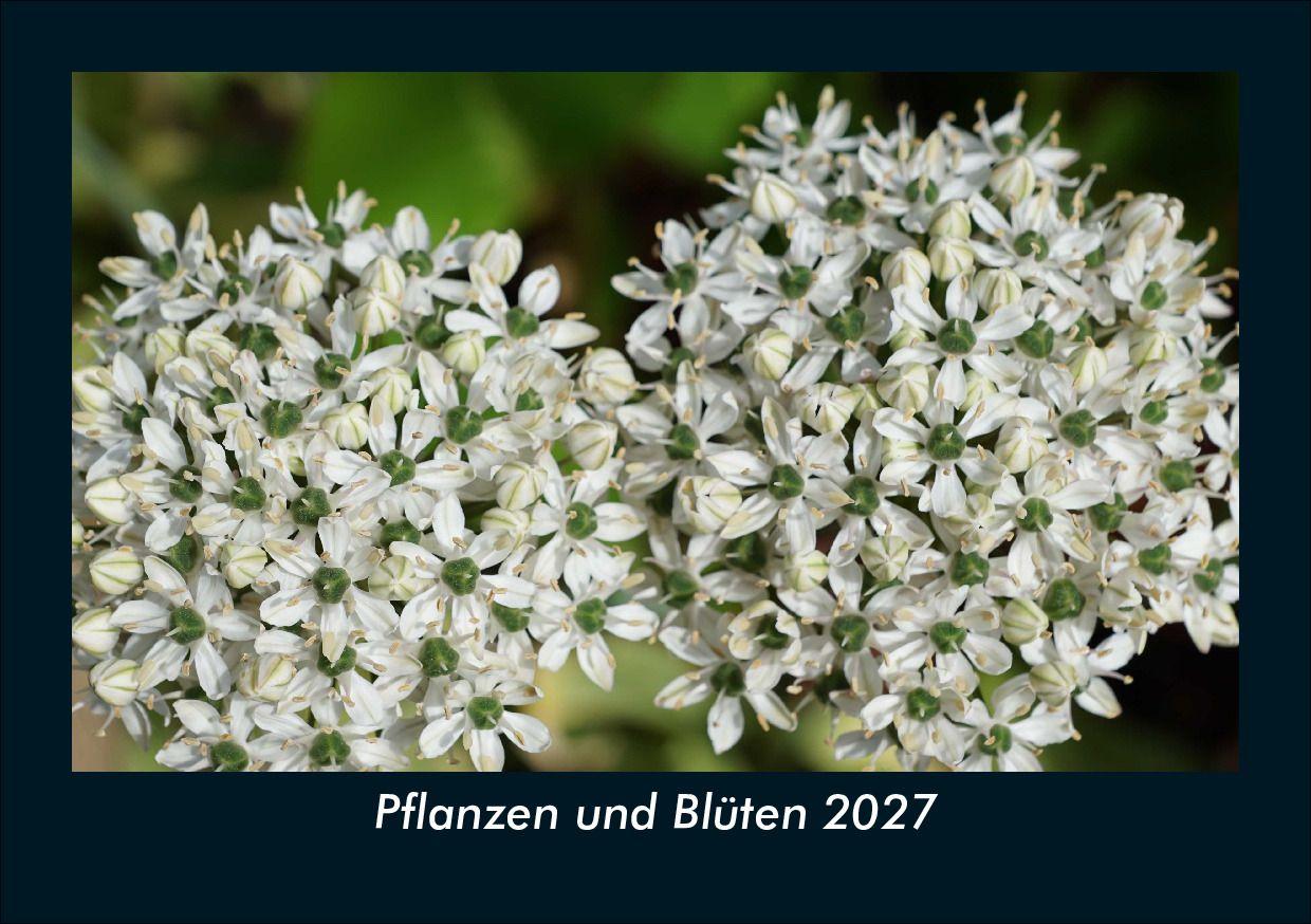 Pflanzen und Blüten 2027 Fotokalender DIN A5