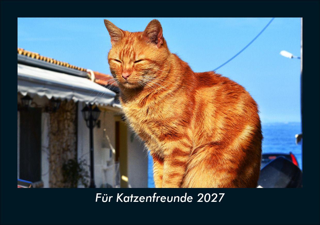Für Katzenfreunde 2027 Fotokalender DIN A5
