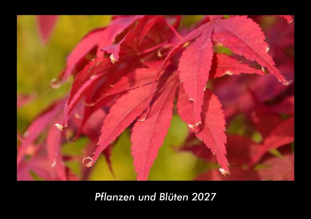 Pflanzen und Blüten 2027 Fotokalender DIN A3