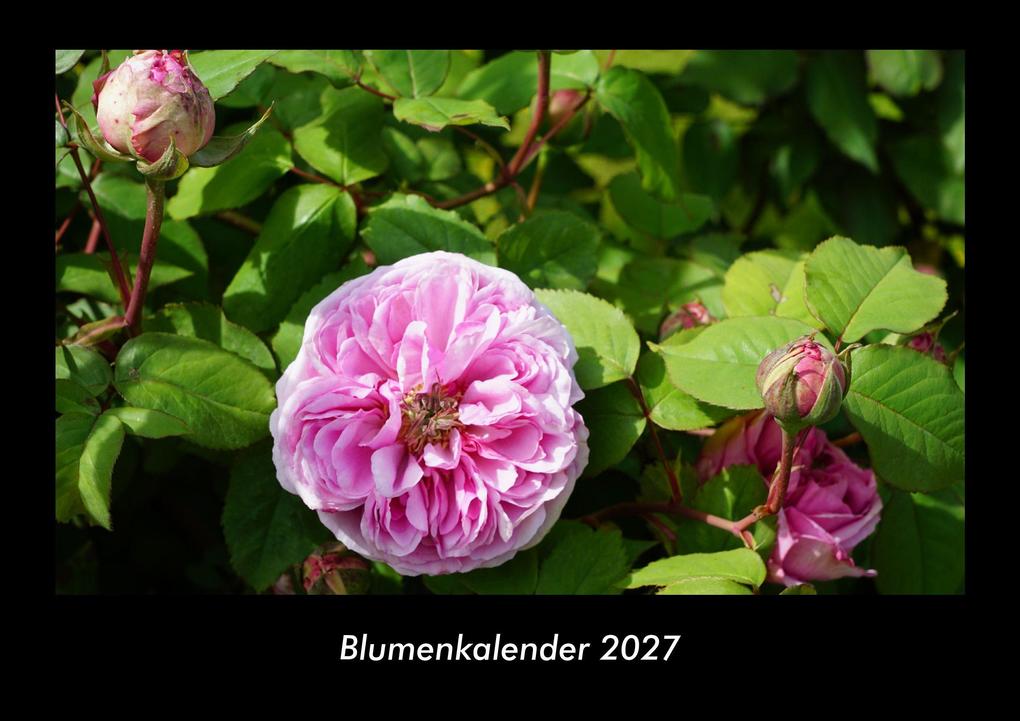 Blumenkalender 2027 Fotokalender DIN A3