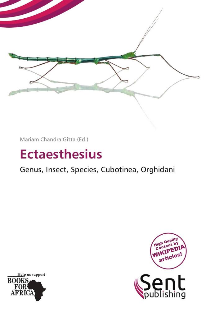 Ectaesthesius