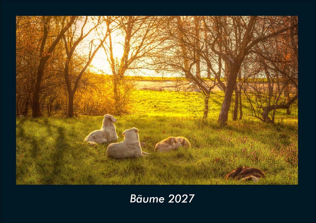 Bäume 2027 Fotokalender DIN A4