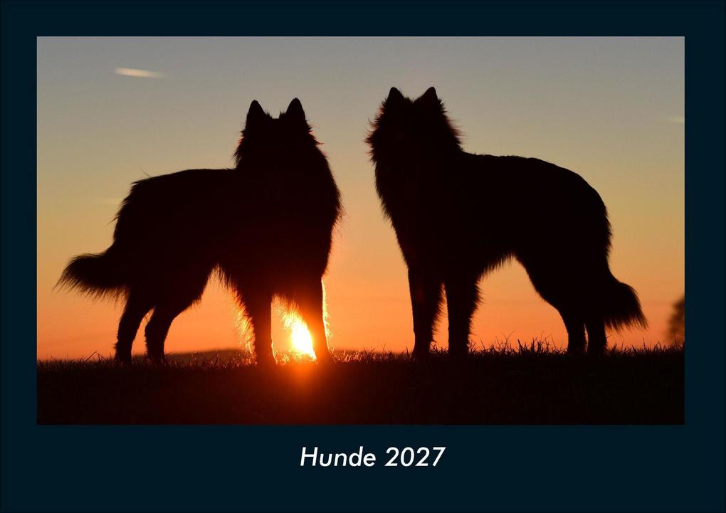 Hunde 2027 Fotokalender DIN A4