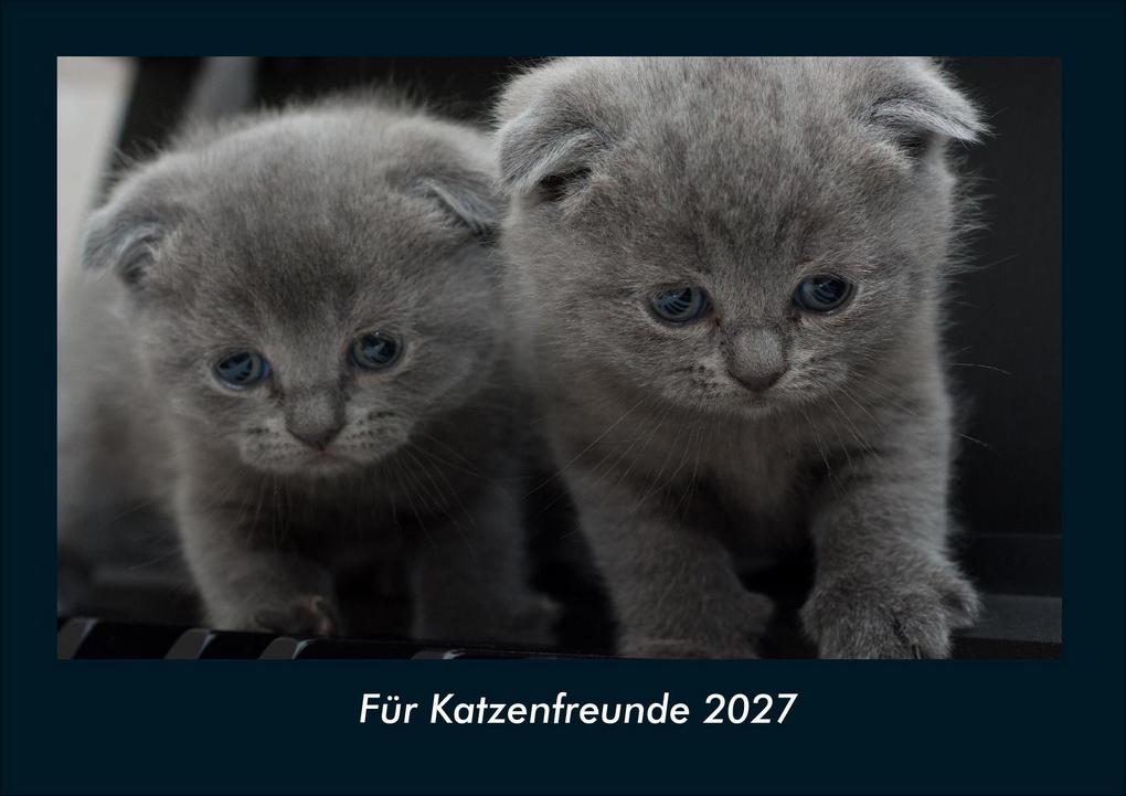 Für Katzenfreunde 2027 Fotokalender DIN A4
