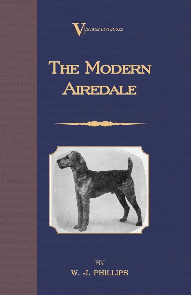 The Modern Airedale Terrier