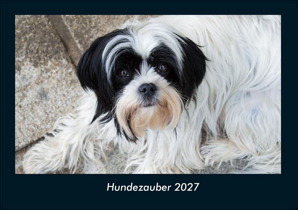 Hundezauber 2027 Fotokalender DIN A4