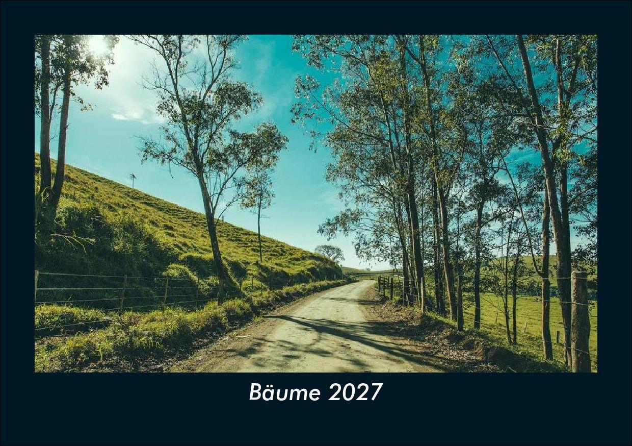 Bäume 2027 Fotokalender DIN A5